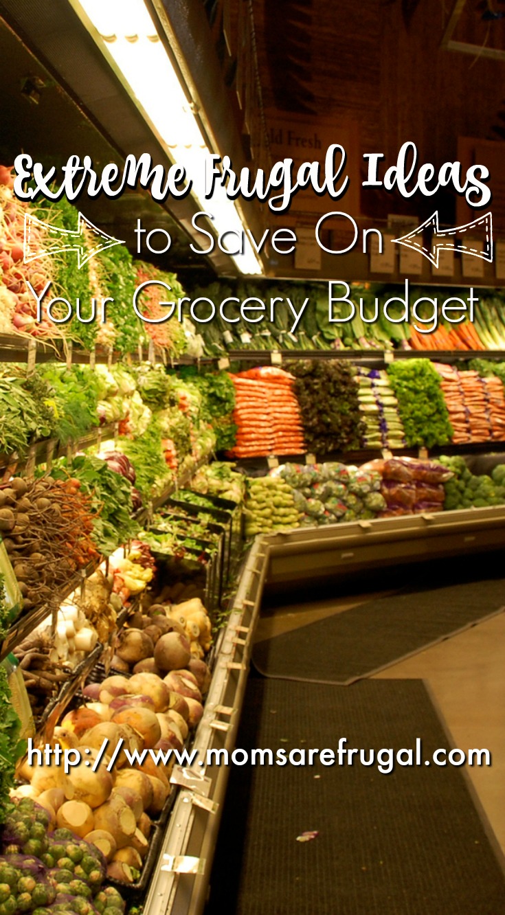 Extreme Frugal Ideas to Save On Your Grocery Budget