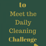 Best Ways to Meet the Daily Cleaning Challenge