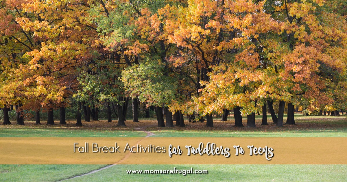 Fall Break Activities for Toddlers To Teens