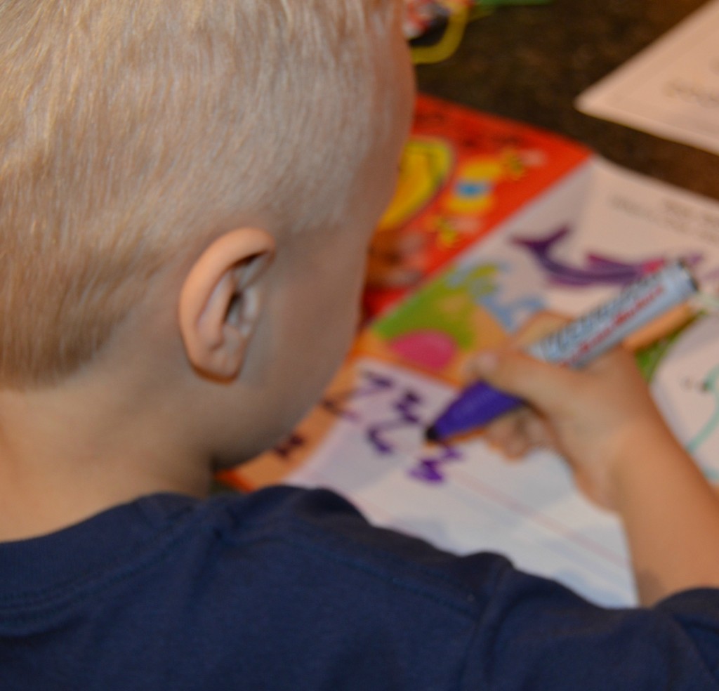 Homeschool Preschool Letter Z