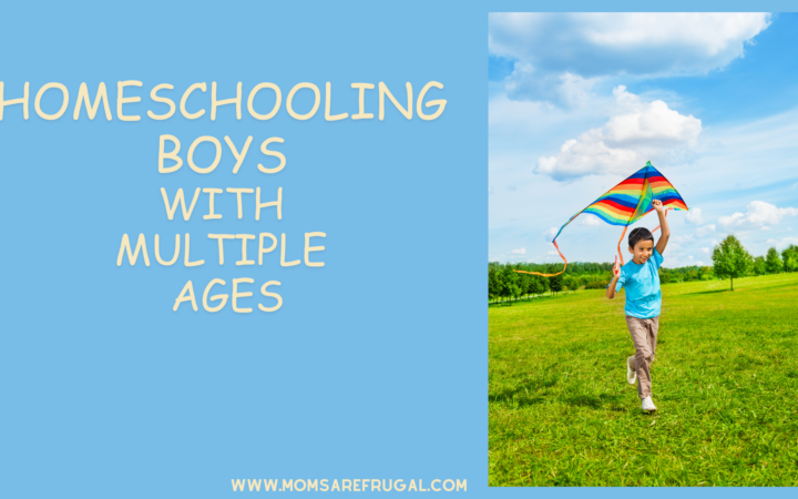 Homeschooling Boys With Multiple Ages