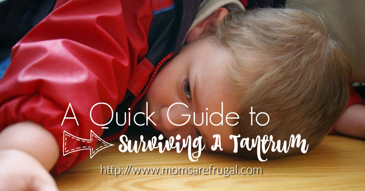 A Quick Guide To Surviving A Tantrum