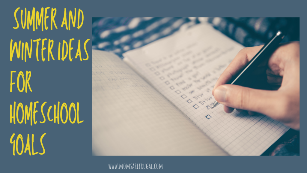 Summer and Winter Ideas for Homeschool Goals