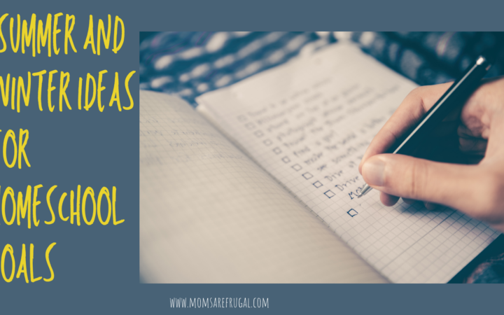 Summer and Winter Ideas for Homeschool Goals