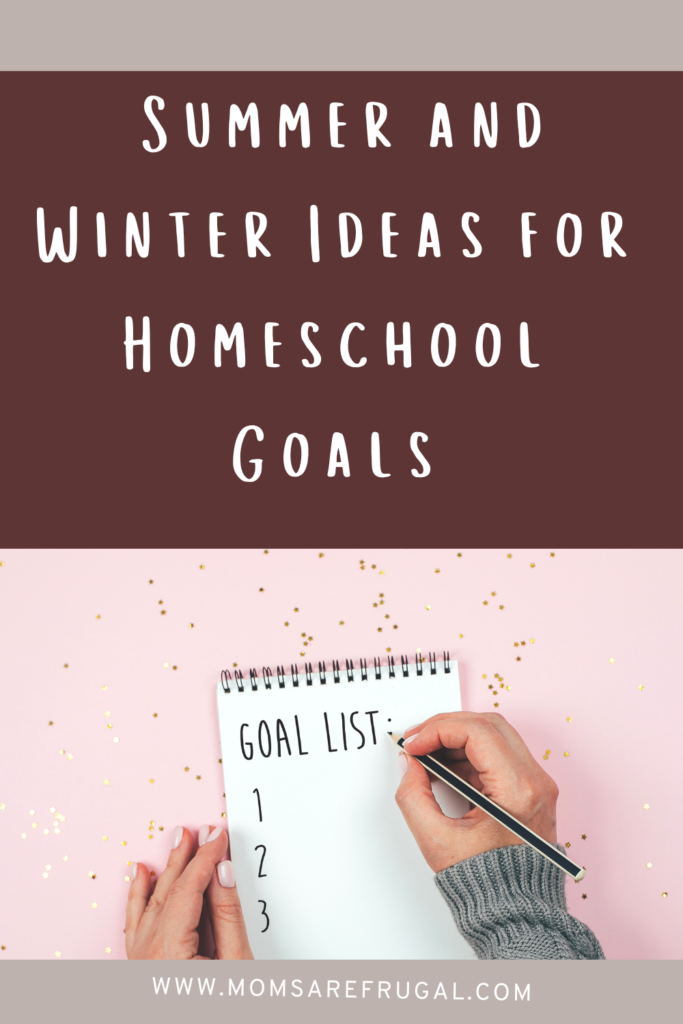 Summer and Winter Ideas for Homeschool Goals