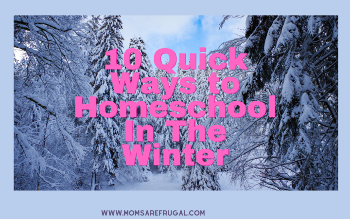 10 Quick Ways to Homeschool In The Winter