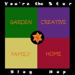 You're The Star Blog Hop