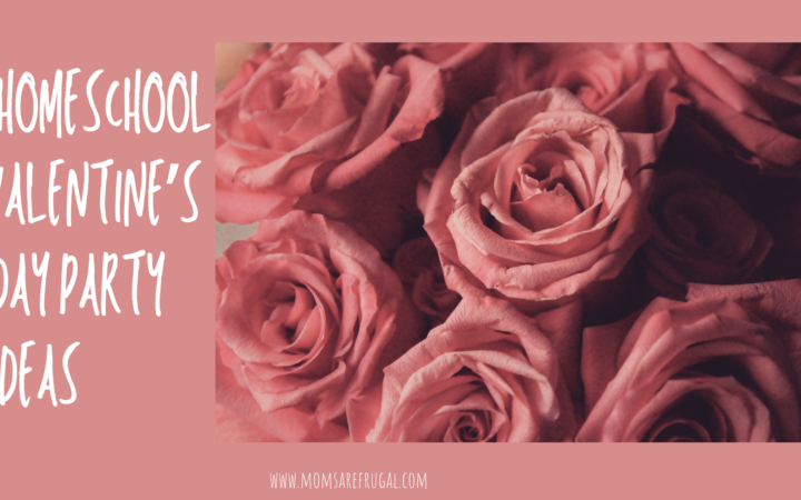 Homeschool Valentine's Day Party Ideas