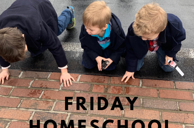 Friday Homeschool Field Trip Day