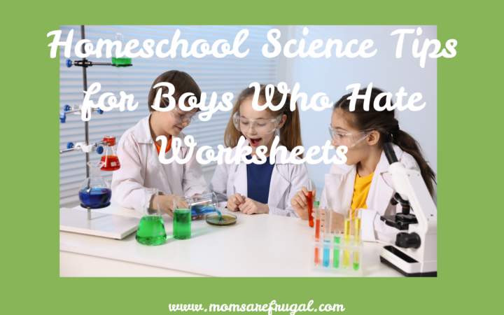 Homeschool Science Tips for Boys Who Hate Worksheets