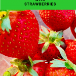 Frugal Gardening with Strawberries