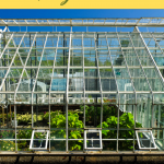 Frugal Gardening Ways to Save with a Mini Greenhouse