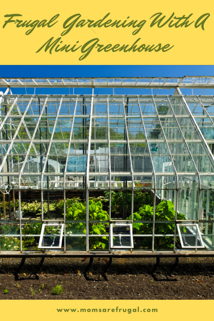 Frugal Gardening Ways to Save with a Mini Greenhouse
