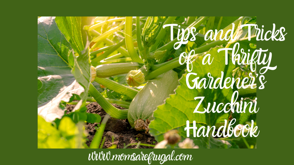 Tips and Tricks of a Thrifty Gardener's Zucchini Handbook