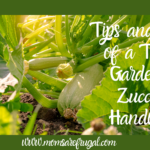 Tips and Tricks of a Thrifty Gardener's Zucchini Handbook