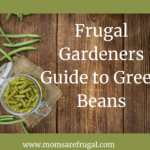 Frugal Gardeners Guide to Green Beans