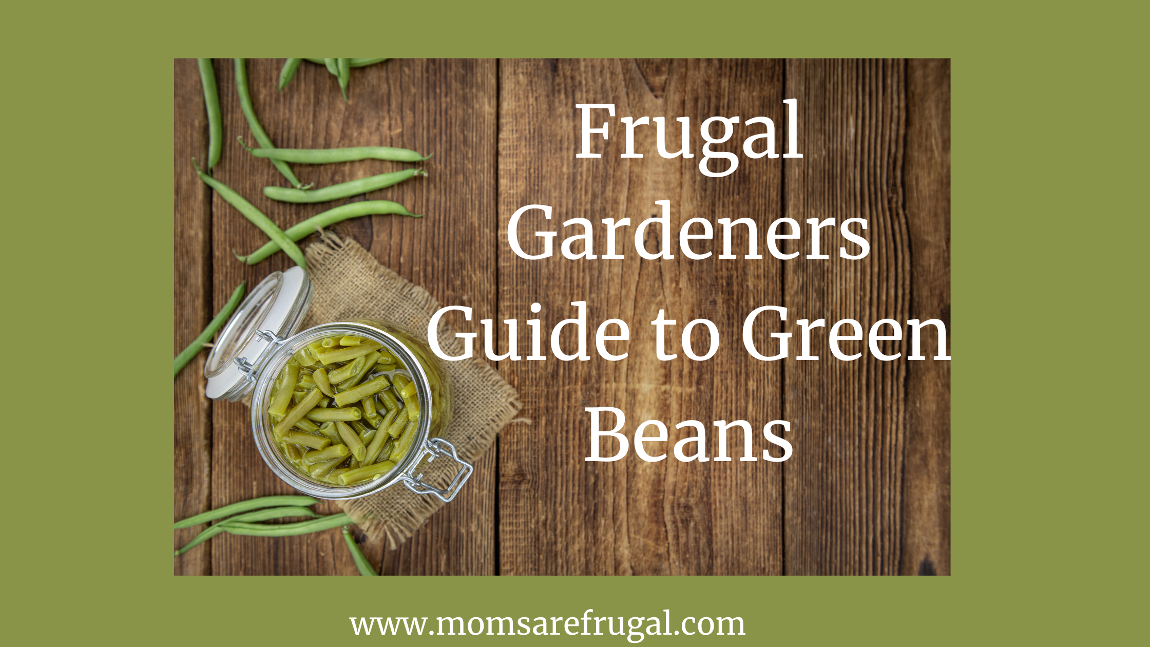 Frugal Gardeners Guide to Green Beans