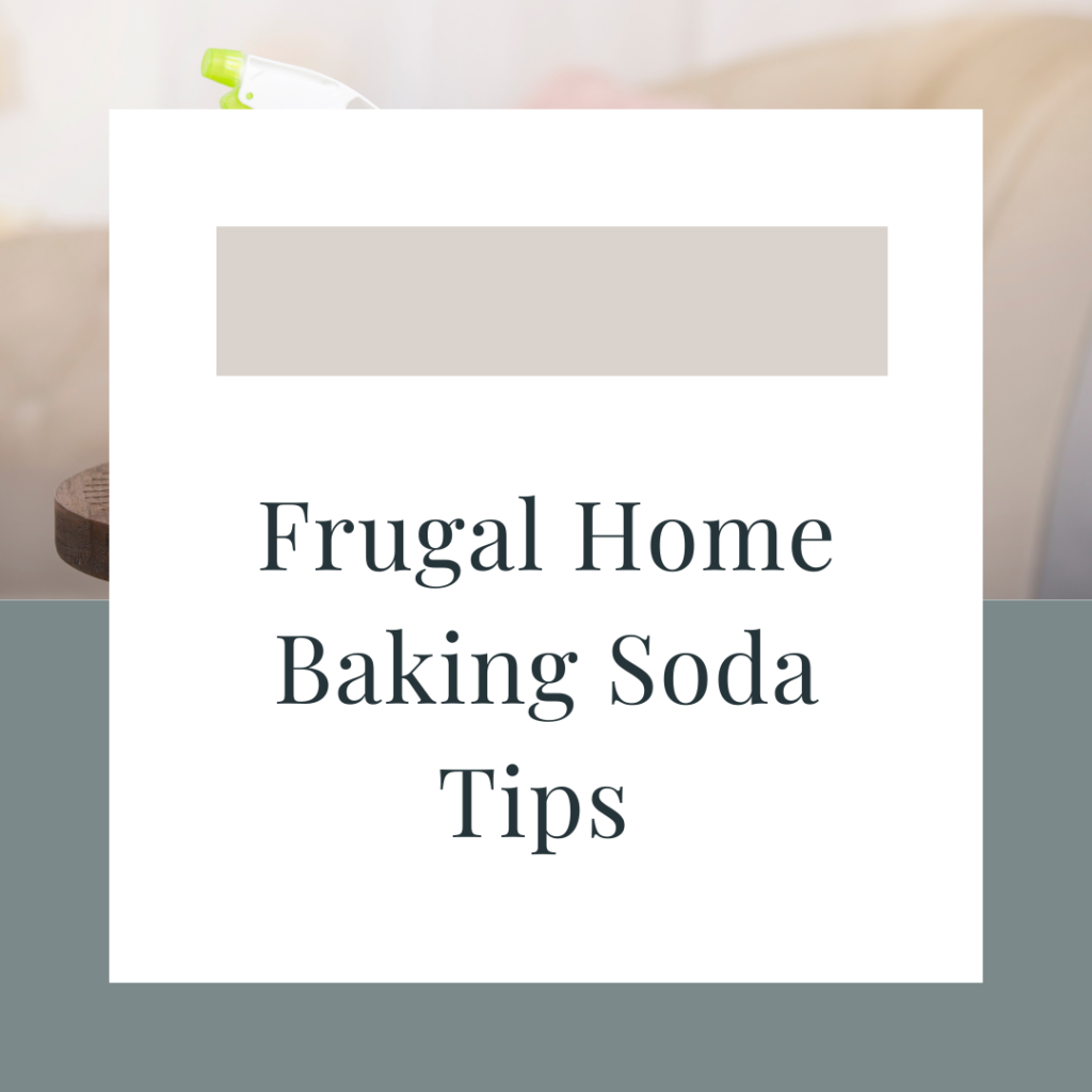 Frugal Home Baking Soda