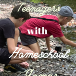 Homeschooling a Teenager with Homeschool Games