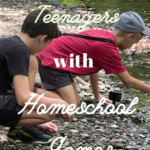 Homeschooling Teenagers with Homeschool Games