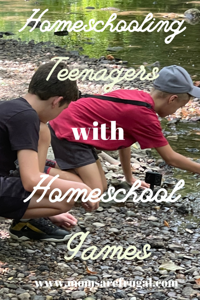 Homeschooling Teenagers with Homeschool Games