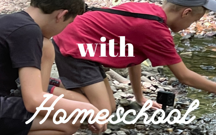 Homeschooling Teenagers with Homeschool Games