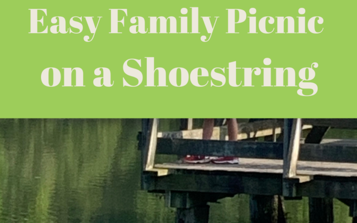 Easy Family Picnic on a Shoestring