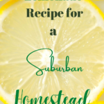 Frugal Lemonade Recipe for a Suburban Homestead