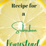 Lemonade Recipe for a Suburban Homestead