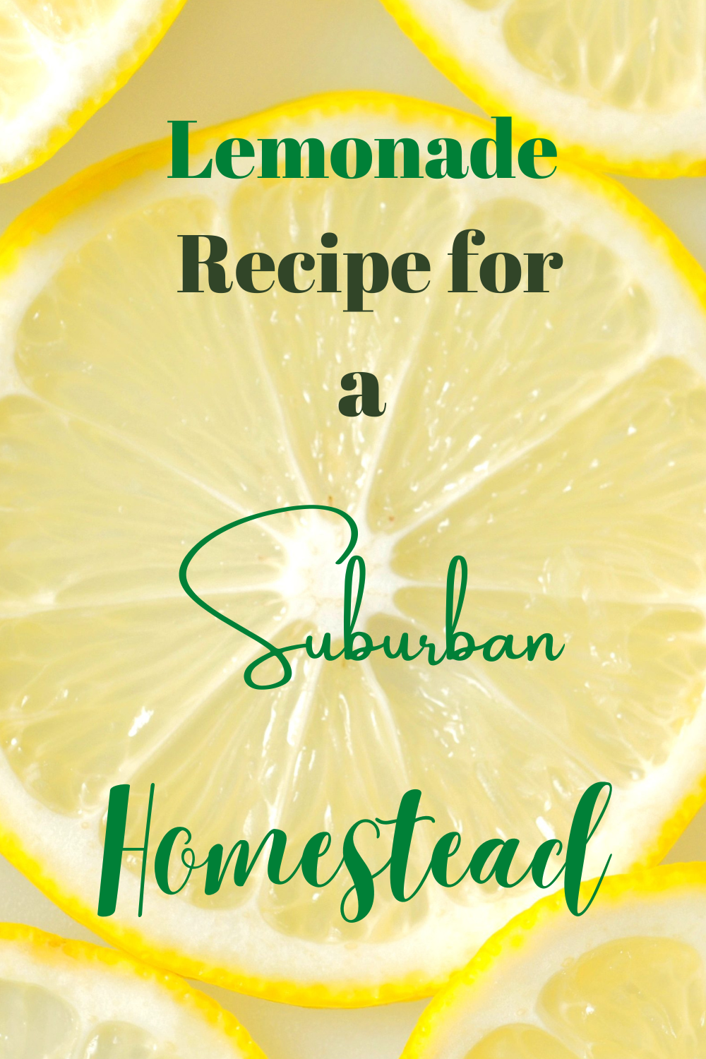 Lemonade Recipe for a Suburban Homestead