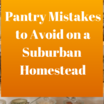 Pantry Mistakes to Avoid on a Suburban Homestead