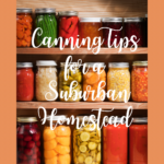 Canning Tips for a Suburban Homestead