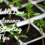 Affordable Low Maintenance Seed Starting Tips