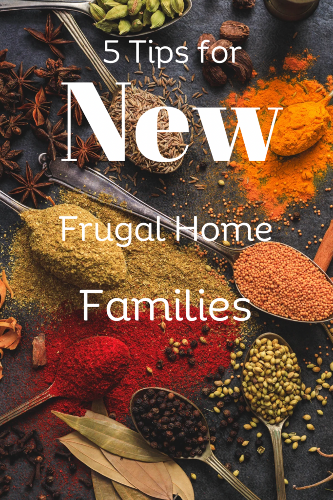 5 Frugal Tips for New Frugal Home Families