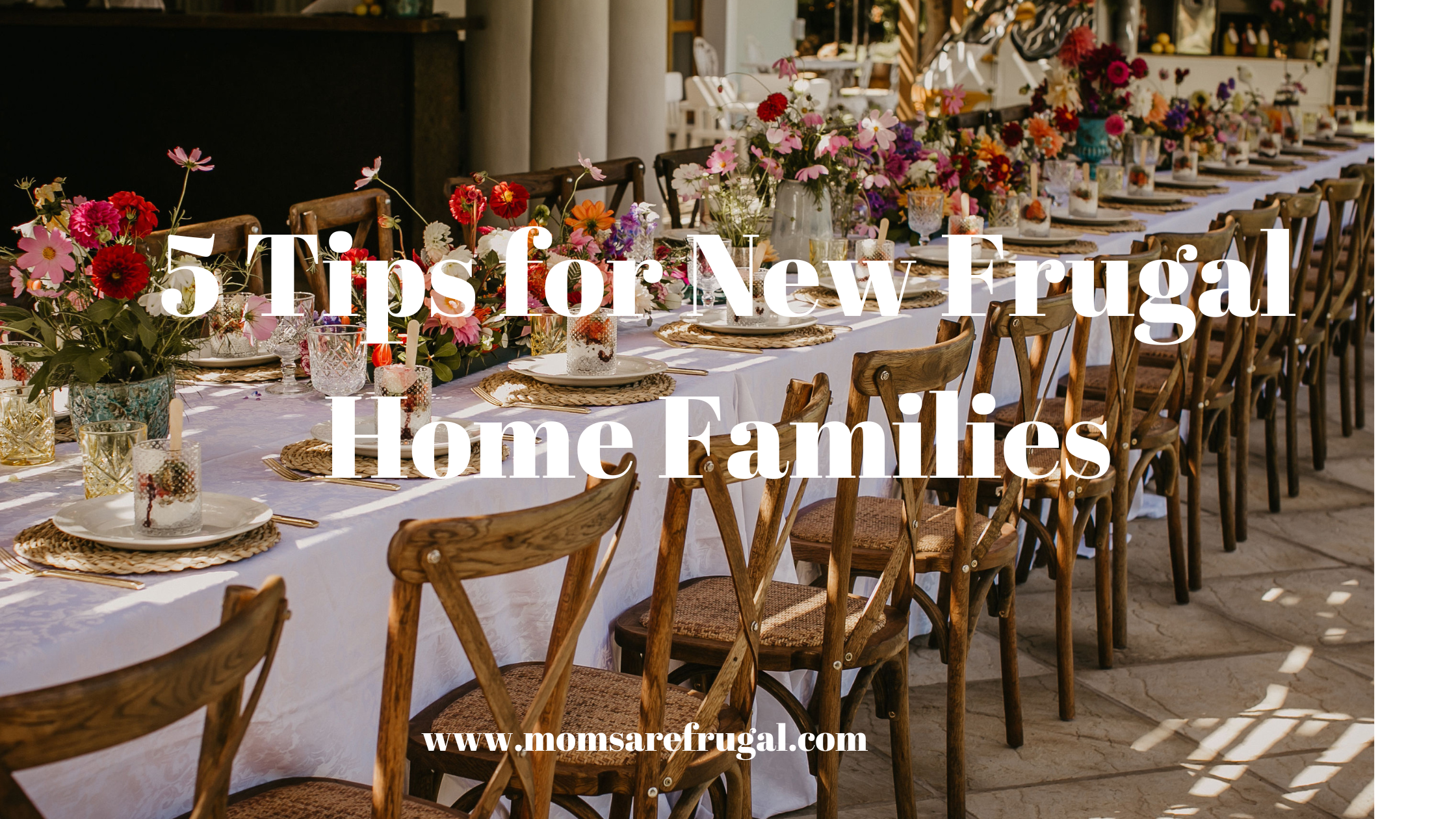 5 Tips for New Frugal Home Families