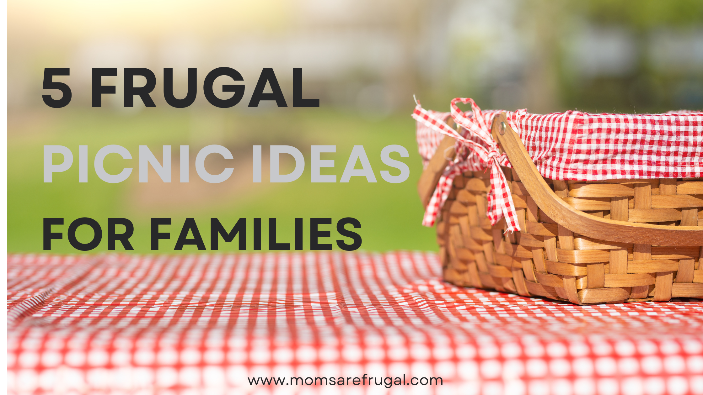 5 Frugal Picnic Ideas for Families