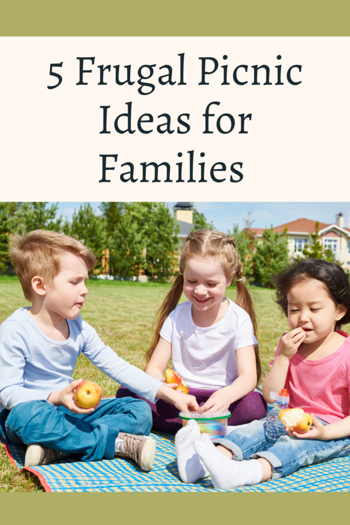Frugal Home Picnic Ideas for Families