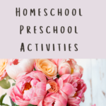 Letter P Homeschool Preschool Activities