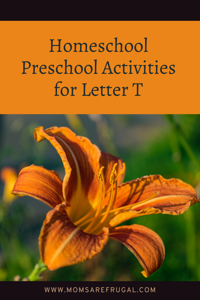 Homeschool Preschool Activities for Letter T