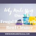 Why Make Your Own Frugal Home Toilet Bowl Cleaner.