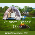 Campfire Cooking on a Budget: Summer Dinner Ideas