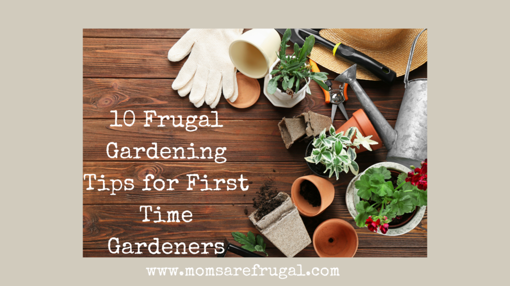 10 Gardening Tips for First Time Gardeners