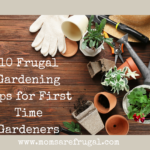 10 Gardening Tips for First Time Gardeners