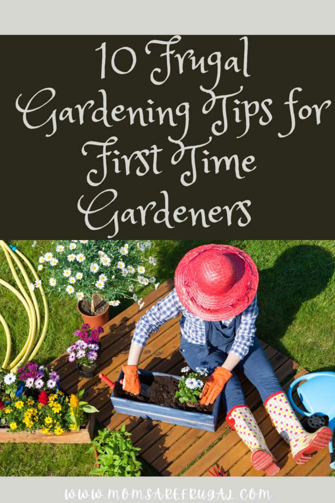 10 Frugal Gardening Tips for First Time Gardeners