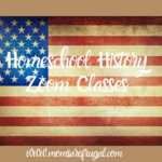Homeschool History Zoom Class