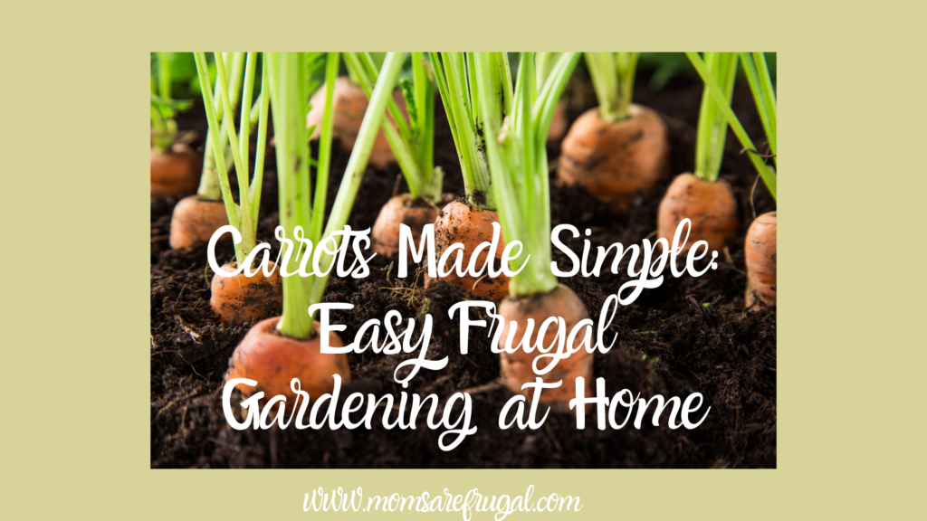 Carrots Made Simple: Frugal Gardening at Home