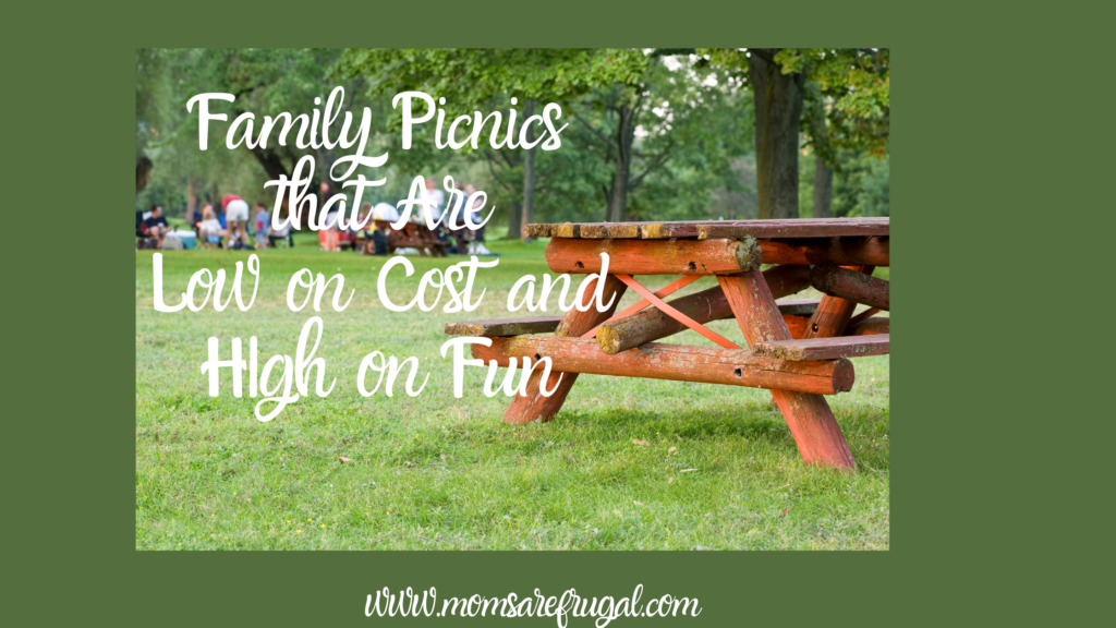 Family Picnics that are Low on Cost and High on Fun