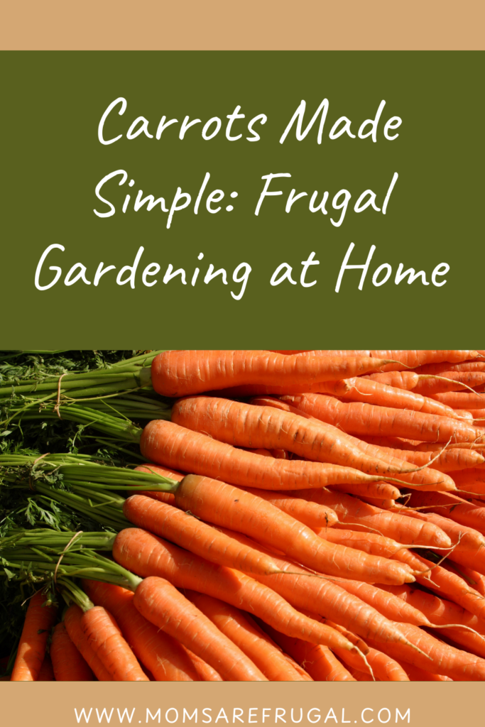 Carrots Made Simple: Frugal Gardening at Home