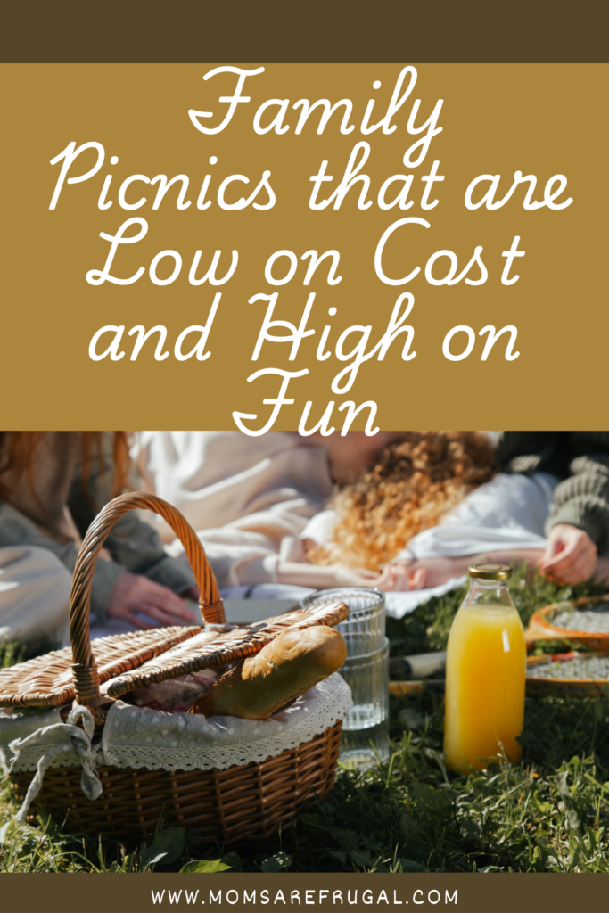 Family Picnics that are Low on Cost and High on Fun