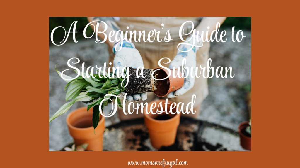 A Beginner's Guide to Starting a Suburban Homestead. 
